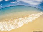 Fisheye_Beach_View