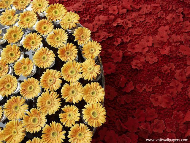 Flower_060