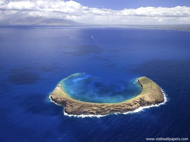 Aerial_view_335