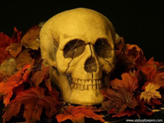 Frightful_Fellow
