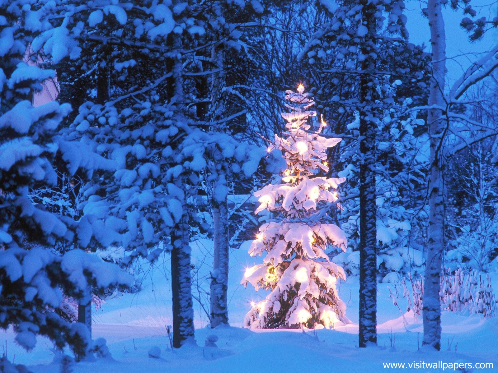 Happy_Holidays