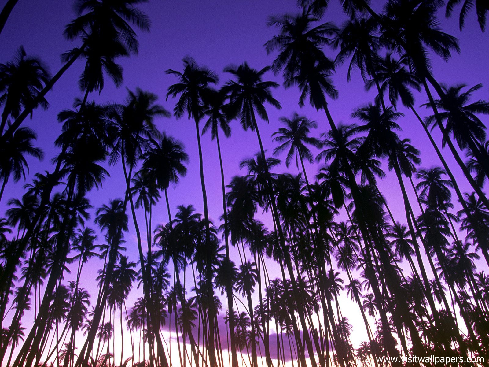 Hawaiian_02