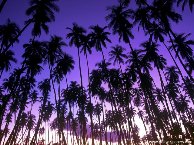 Hawaiian_02