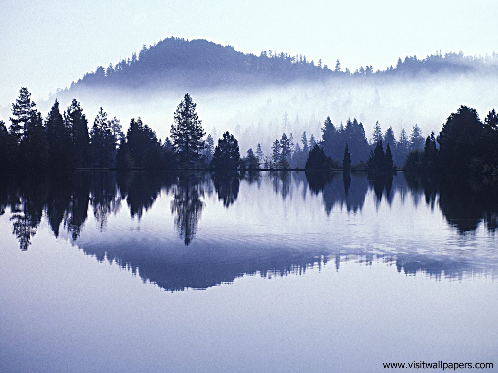 Morning_Mist_01