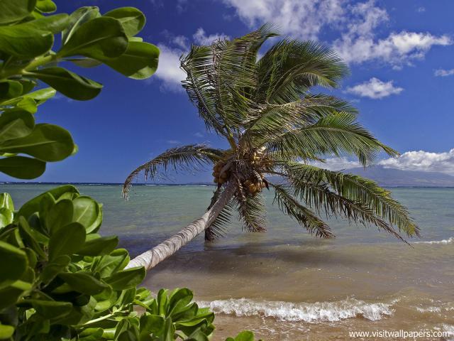 Beaches_052