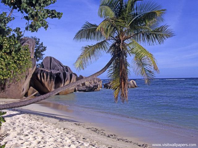 Beaches_057