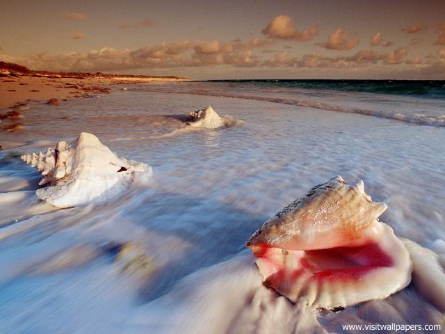 Beaches_064