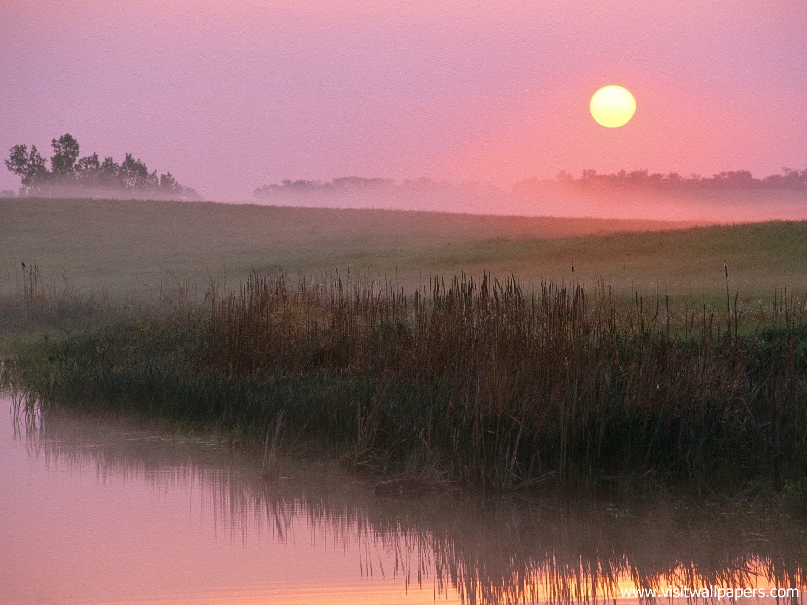 Foggy_Sunrise_01
