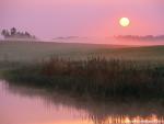 Foggy_Sunrise_01
