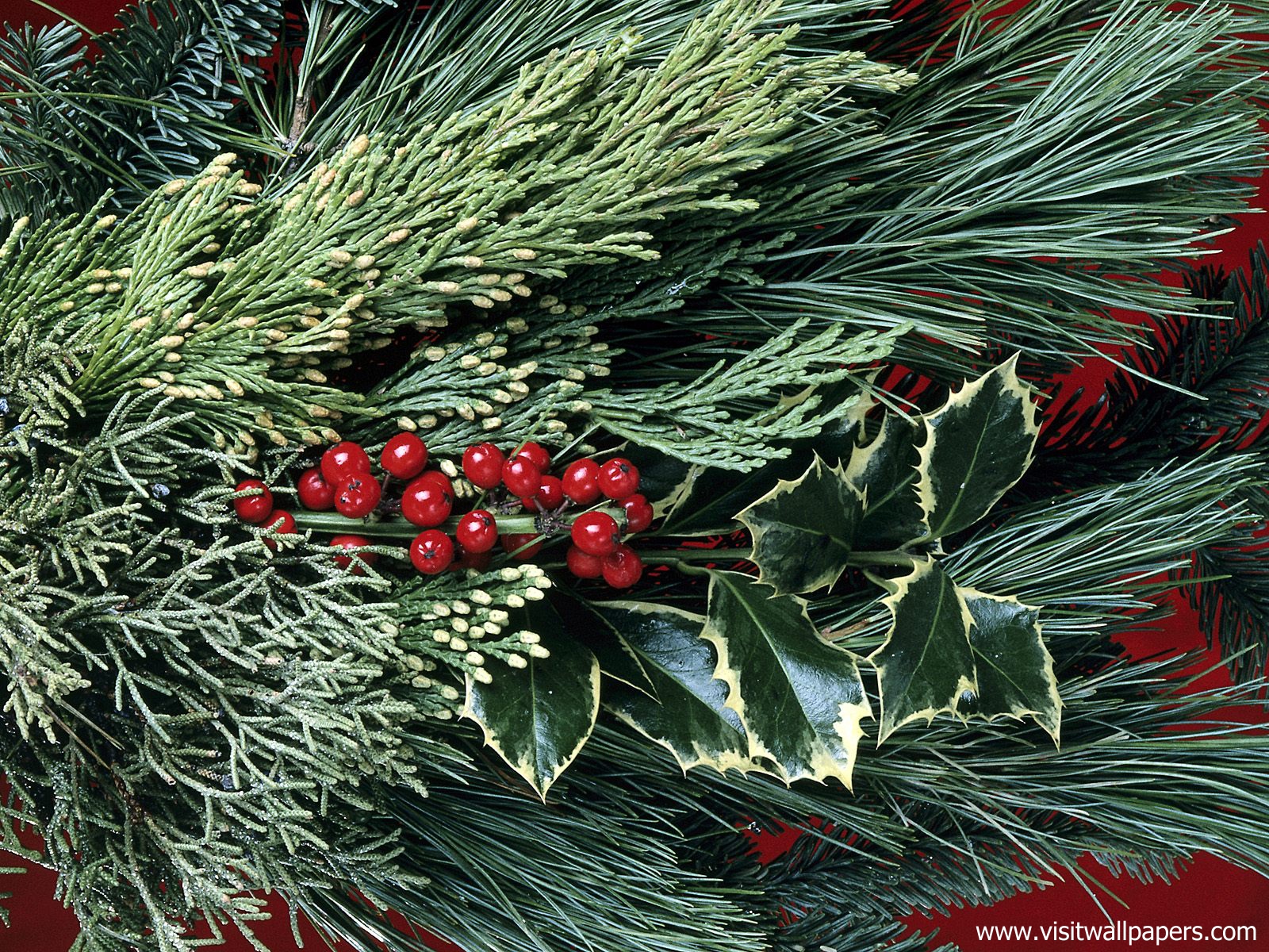 Holiday_Greens