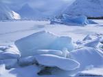 Icebergs_04