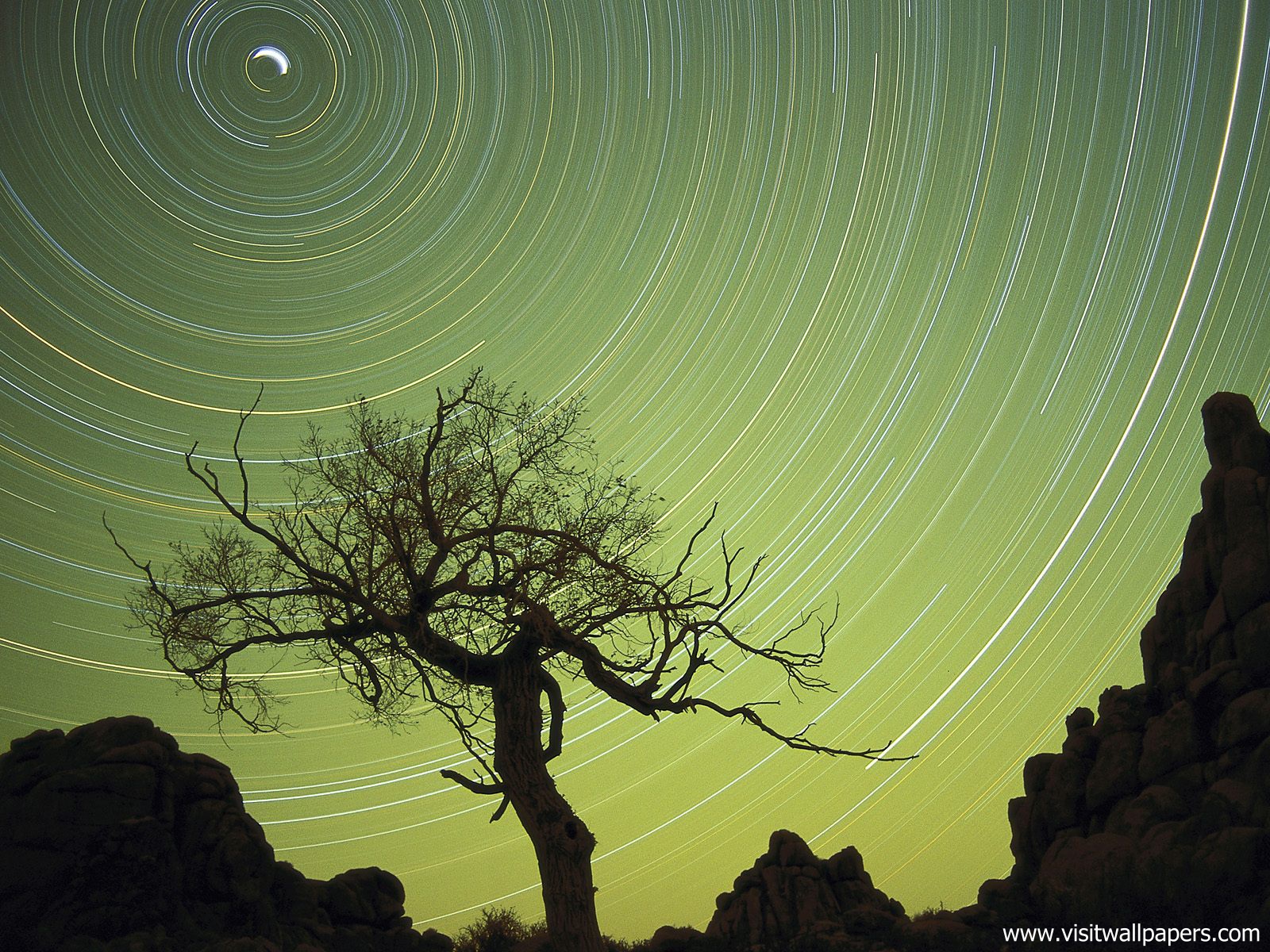 Star_Trails_02