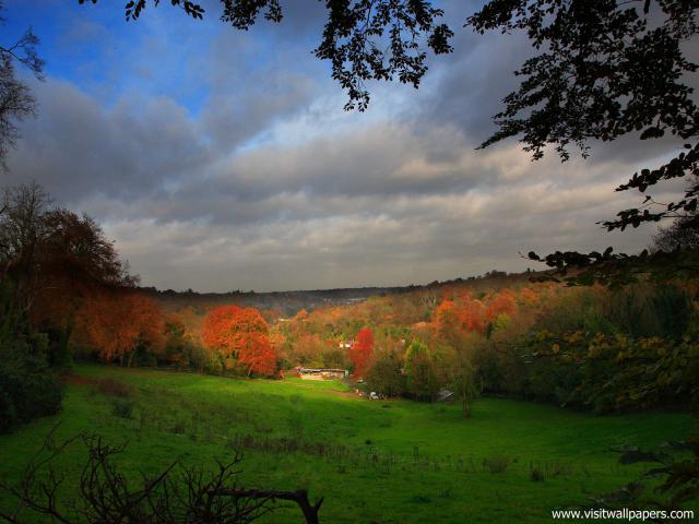 England_083