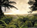New_Zealand_176