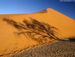 Desert_11