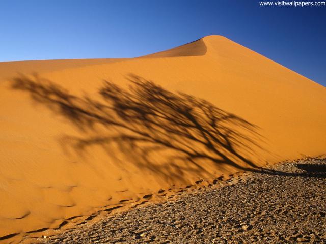 Desert_11