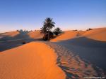 Desert_13