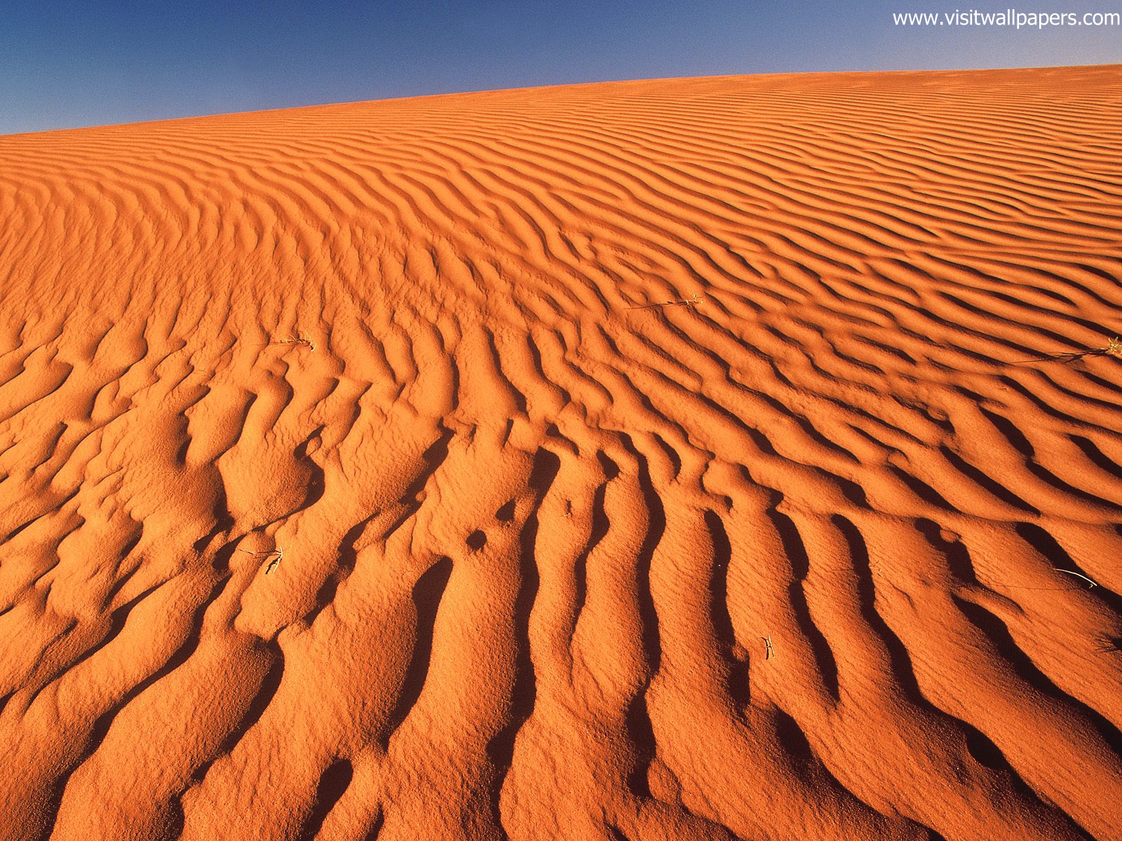Desert_15