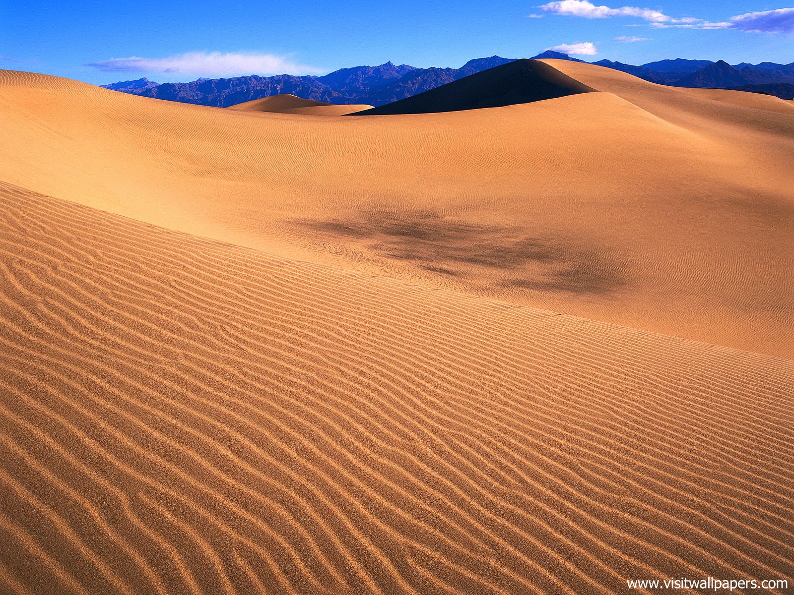 Desert_16