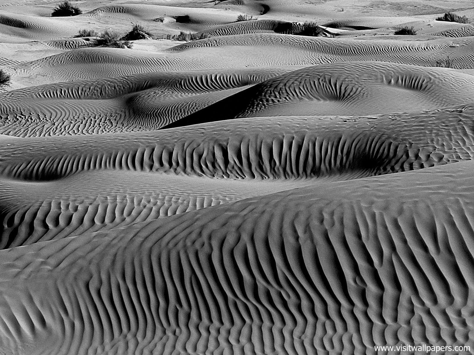 Desert_18