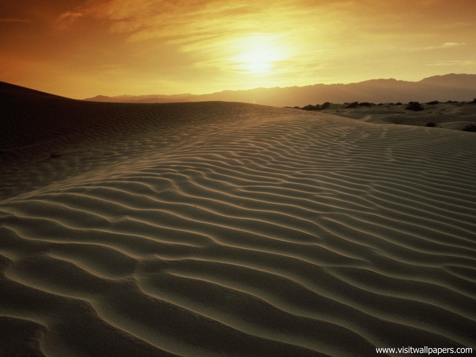 Desert_19