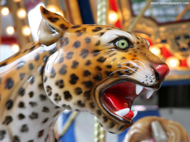Wild_Ride