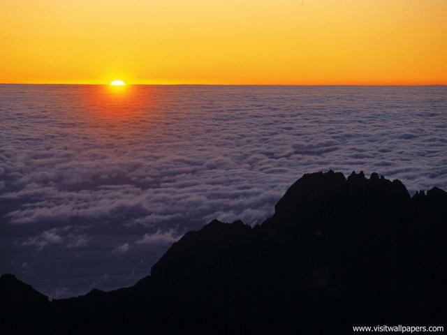 Aerial_view_345