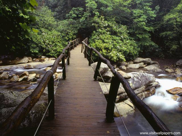 Parks_250