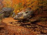 Parks_256