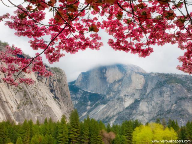 Parks_258