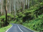 Australia_152