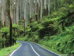 Australia_152