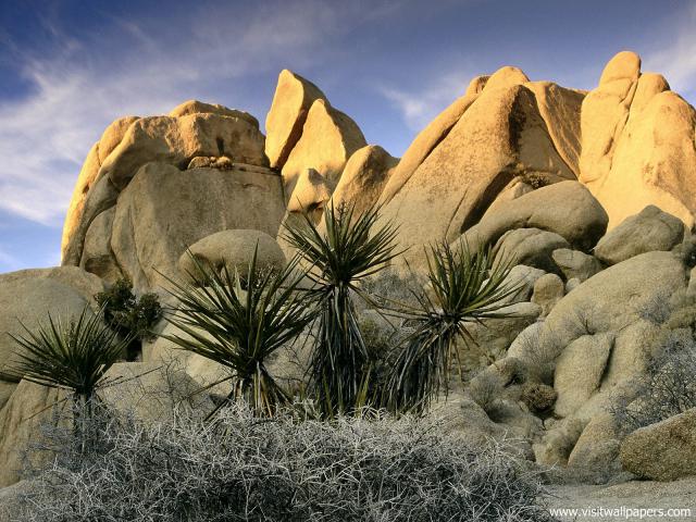 Parks_264