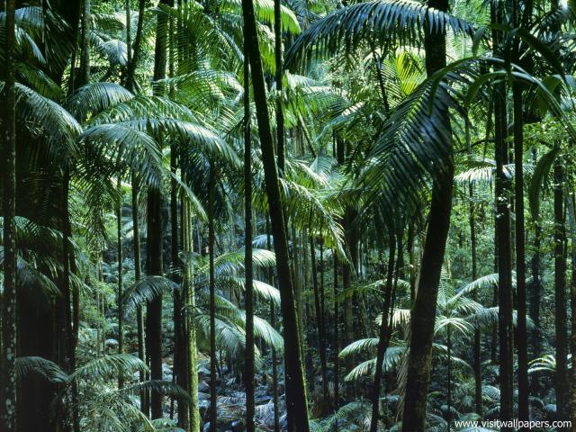 Australia_164