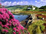Scotland_043