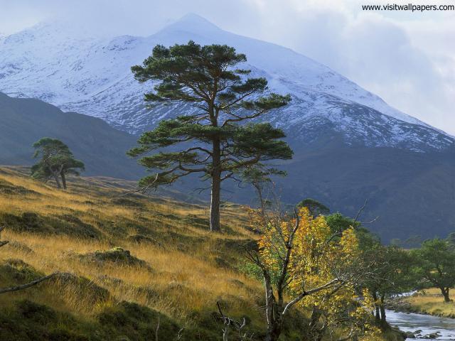 Scotland_053
