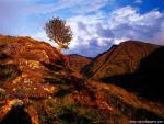 Scotland_059