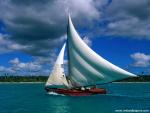 Sailing_06