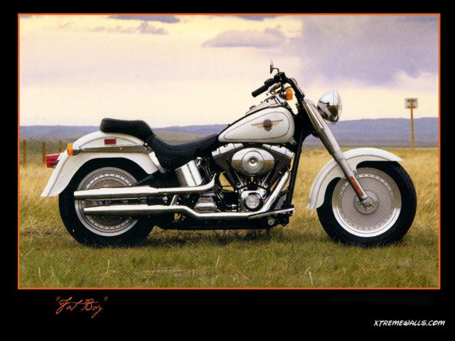 harley-007-01