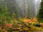 Parks_268