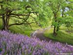 Parks_285