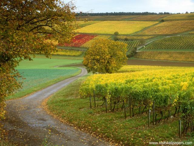 France_097