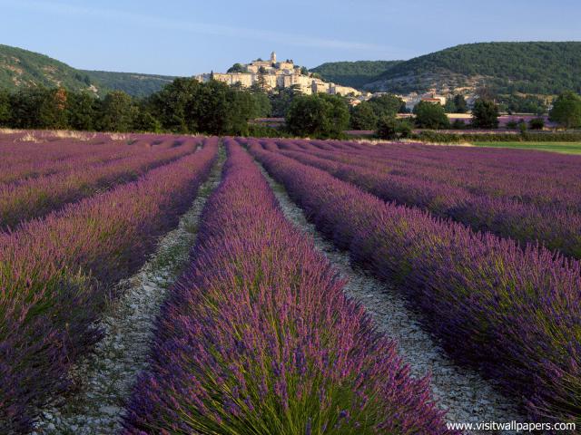 France_104