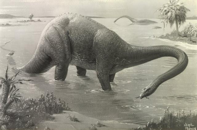 Walking_With_Dinosaurs_25