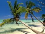 Beaches_094