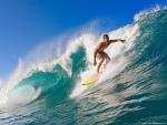 surfer_19