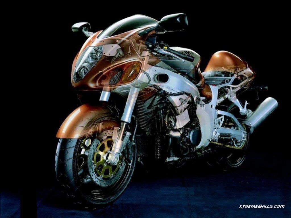 suzuki-001-01