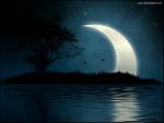 Fantasy_418