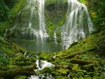 waterfalls_366