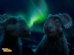 Walking_With_Dinosaurs_49